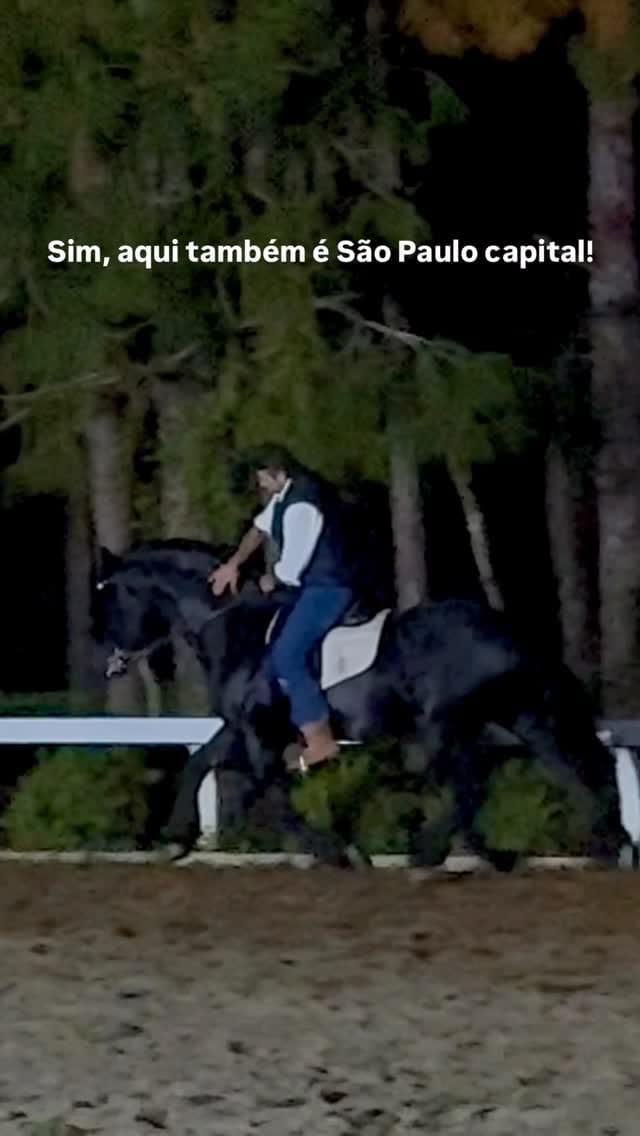 Post 8 by Coudelaria das Araucárias on Instagram (video)