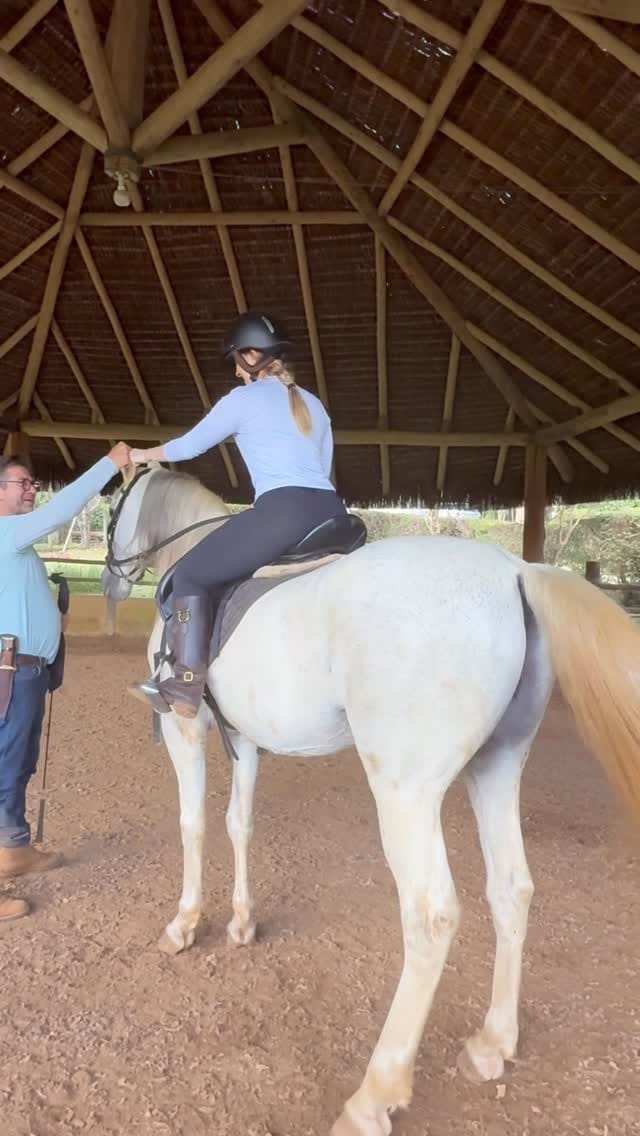 Post 3 by Coudelaria das Araucárias on Instagram (video)