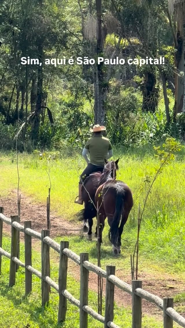 Post 10 by Coudelaria das Araucárias on Instagram (video)
