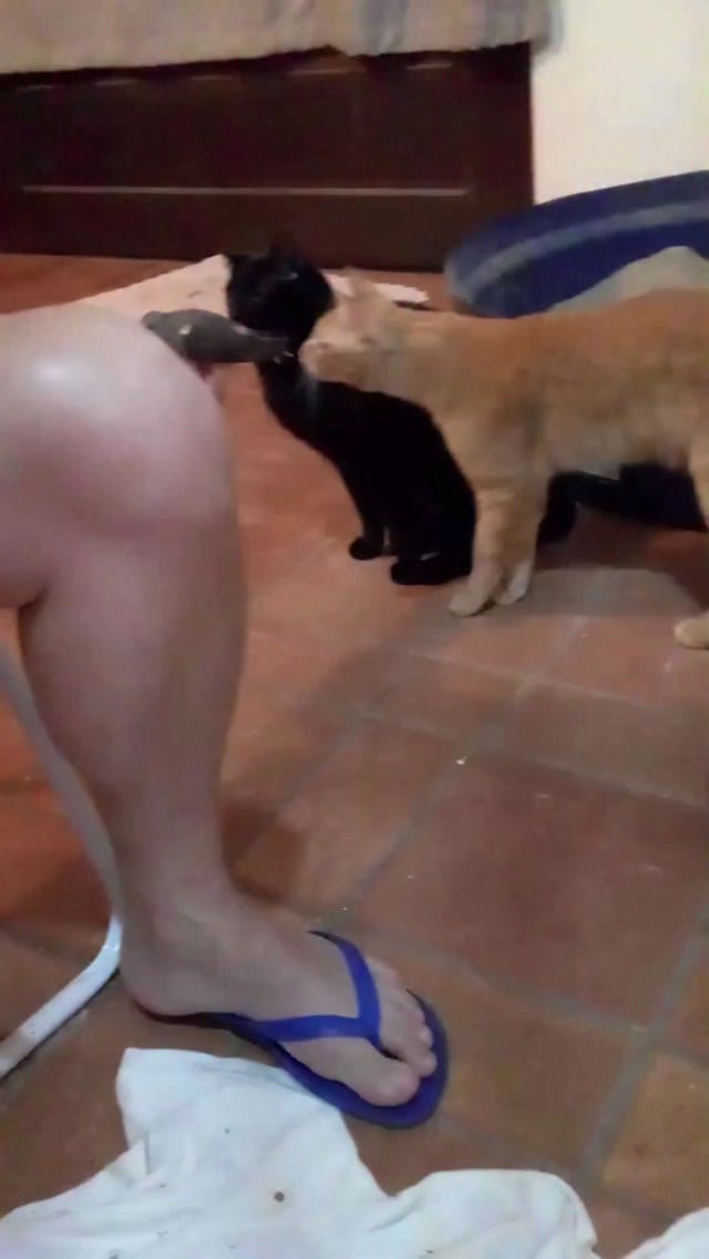 Post 3 by Quatro Almofadinhas on Instagram (video)