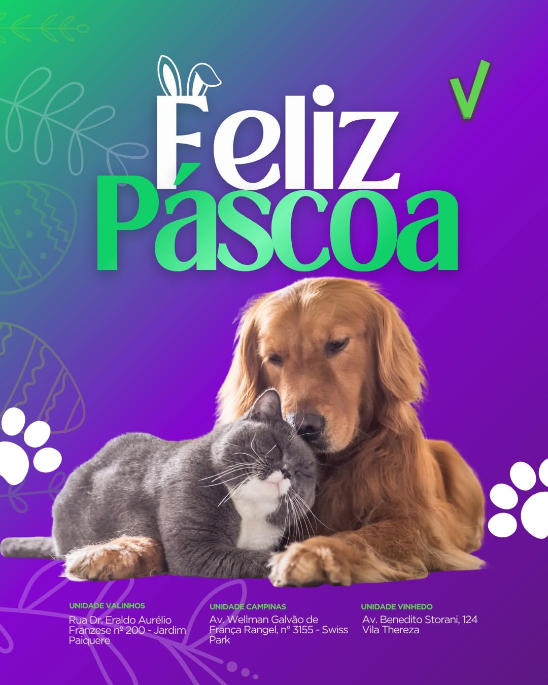 Post 9 by Clínica Veterinária e Petshop on Instagram (image)