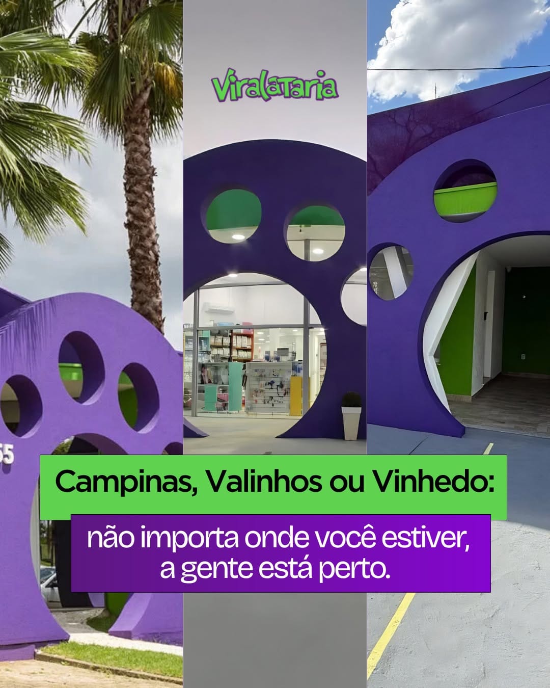 Post 2 by Clínica Veterinária e Petshop on Instagram (carousel)