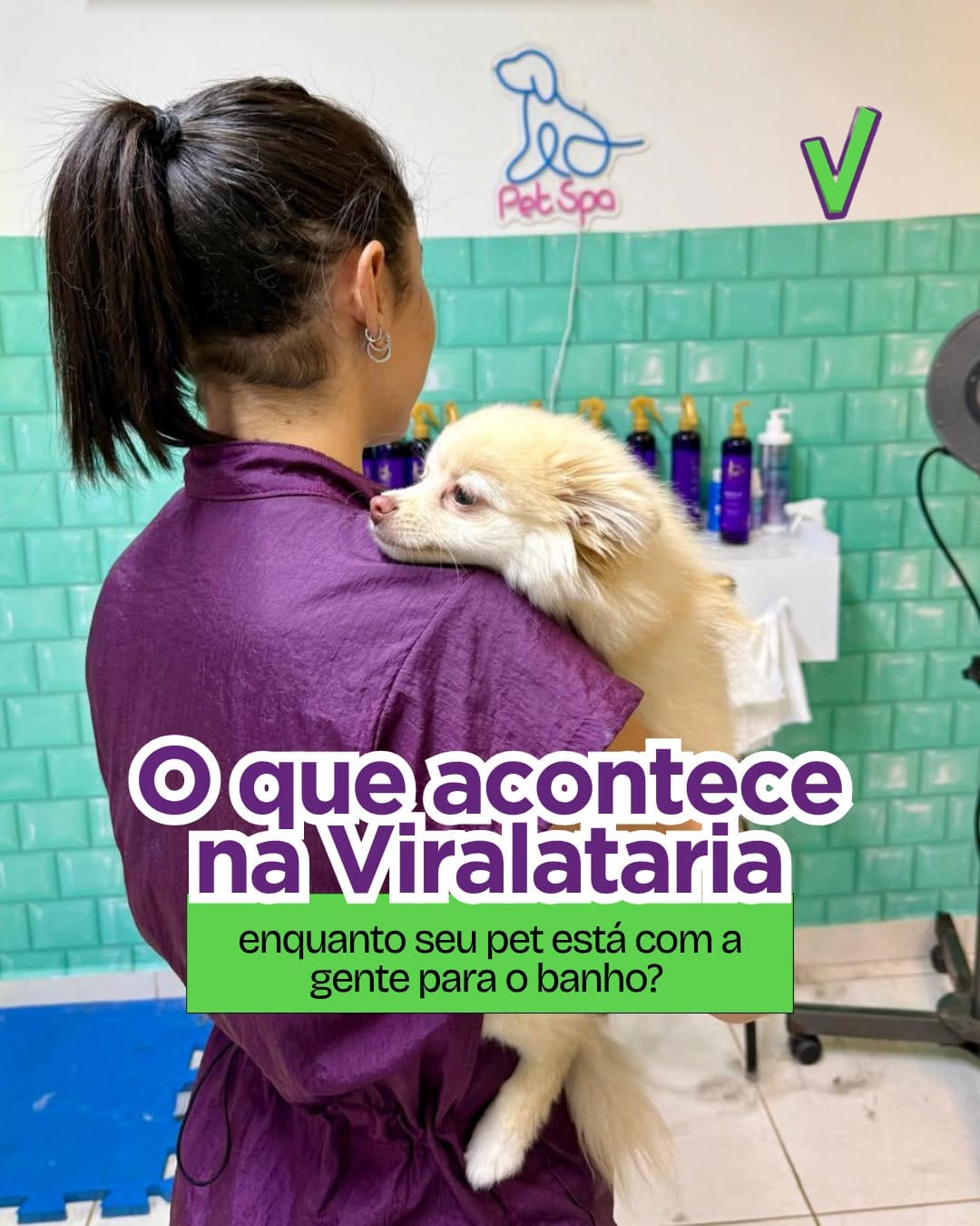 Post 6 by Clínica Veterinária e Petshop on Instagram (carousel)