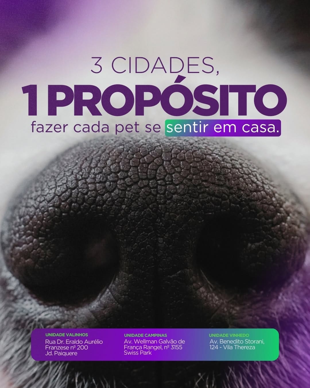 Post 10 by Clínica Veterinária e Petshop on Instagram (image)