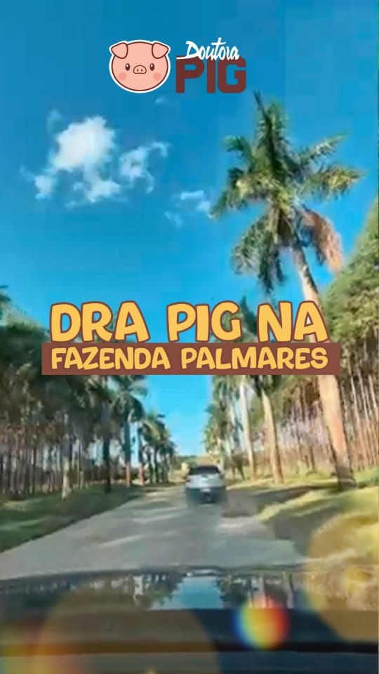 Post 3 by Doutora Pig on Instagram (video)