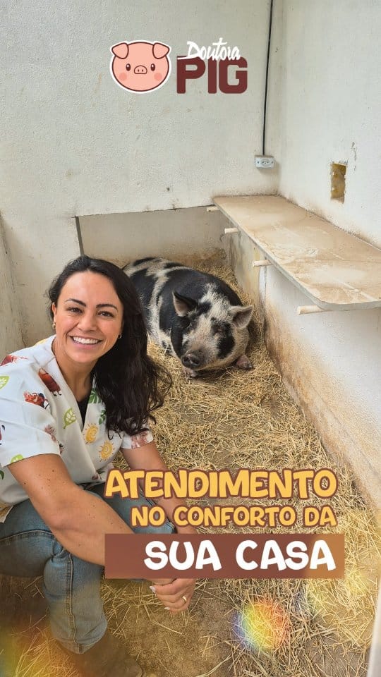 Post 2 by Doutora Pig on Instagram (video)