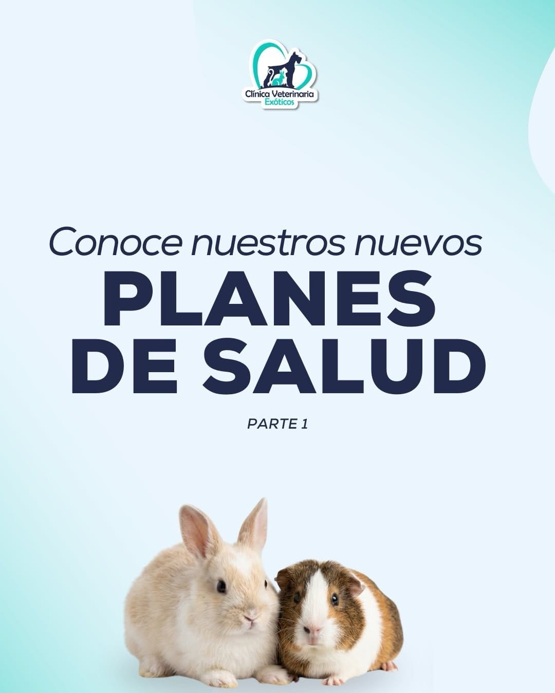 Post 8 by Clínica Veterinaria Exóticos on Instagram (carousel)