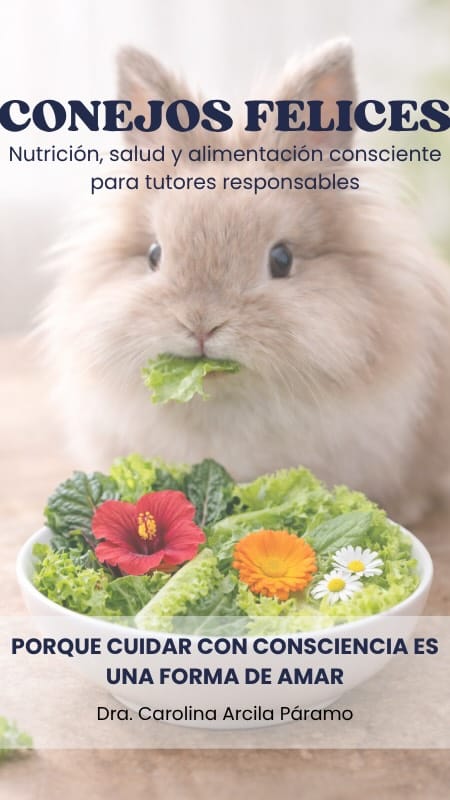 Post 5 by Clínica Veterinaria Exóticos on Instagram (video)