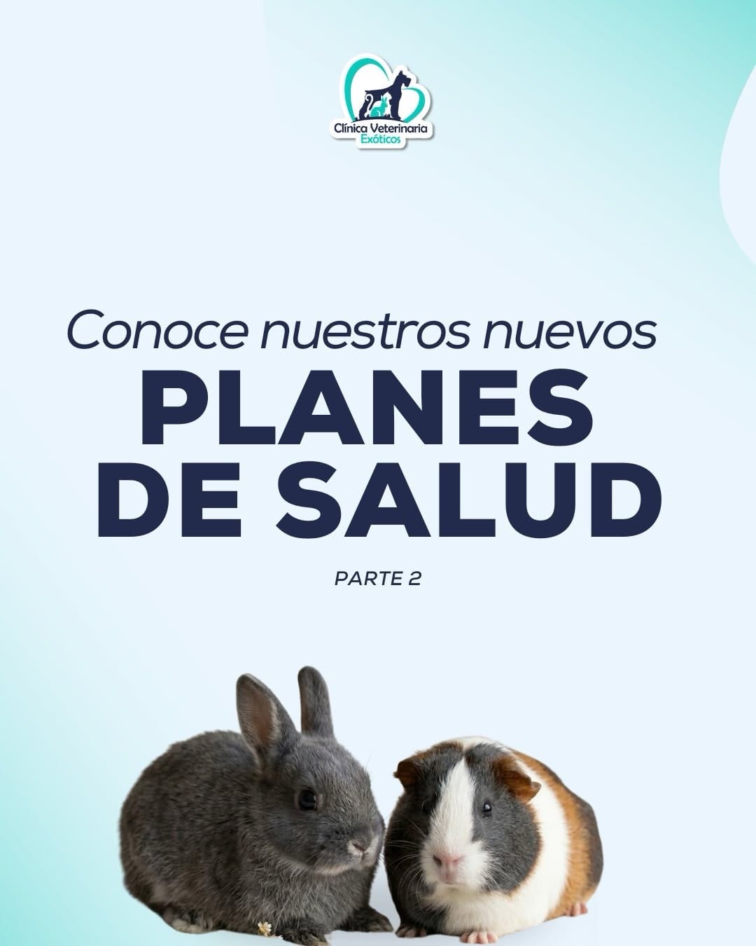 Post 6 by Clínica Veterinaria Exóticos on Instagram (carousel)