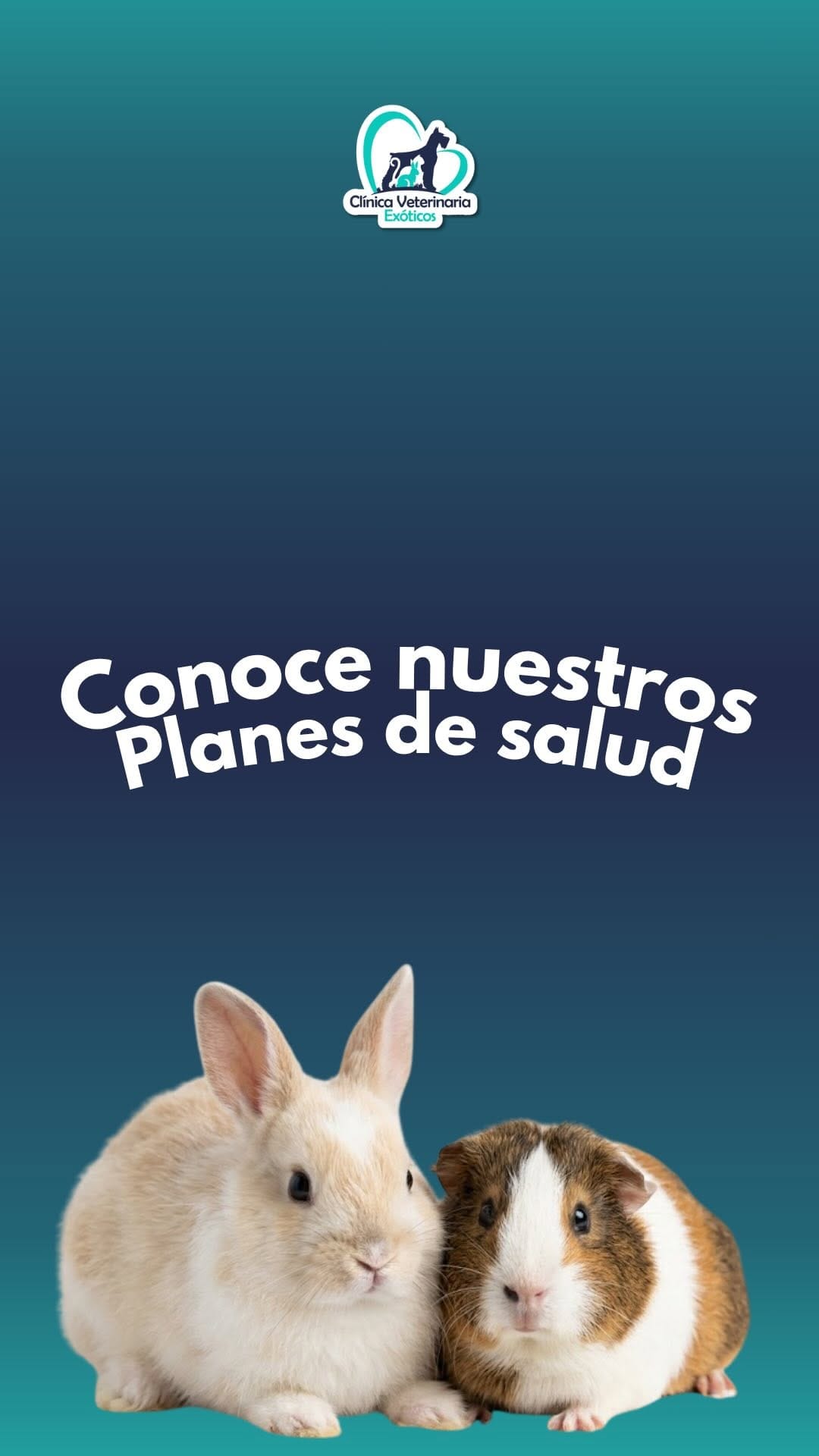 Post 3 by Clínica Veterinaria Exóticos on Instagram (video)