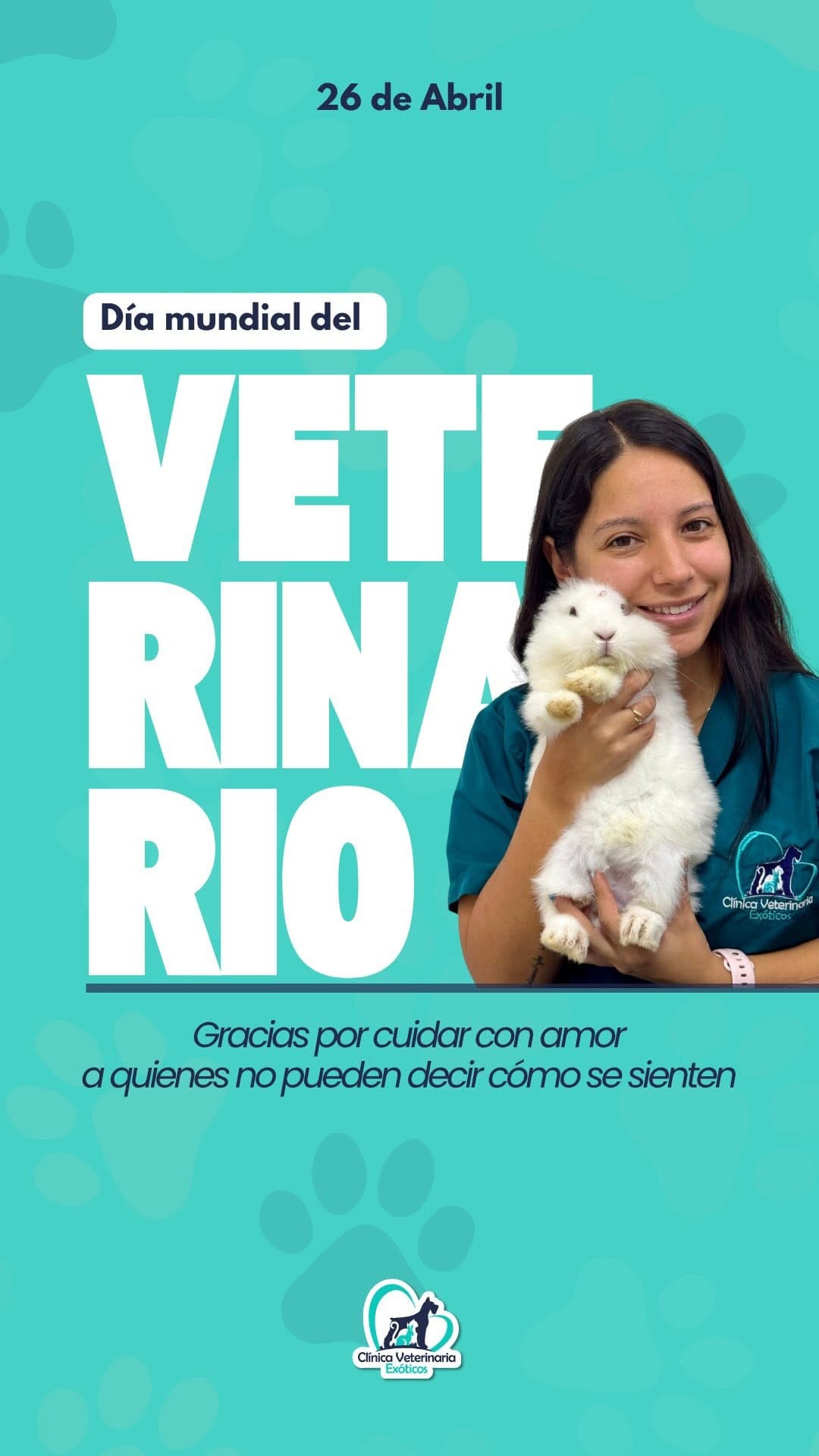 Post 10 by Clínica Veterinaria Exóticos on Instagram (video)