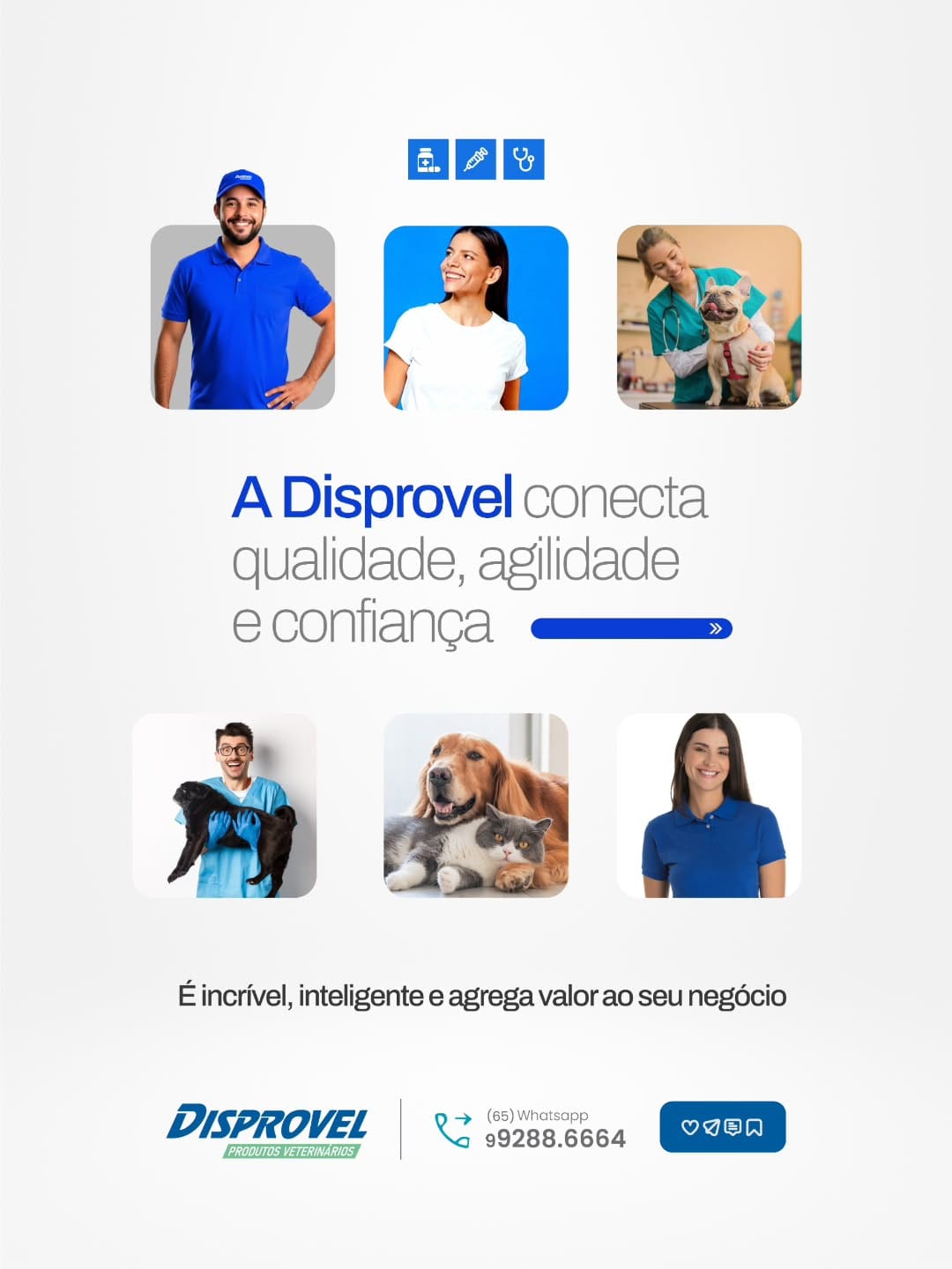 Post 8 by 【﻿ＤＩＳＰＲＯＶＥＬ　ＰＥＴ®】 on Instagram (image)