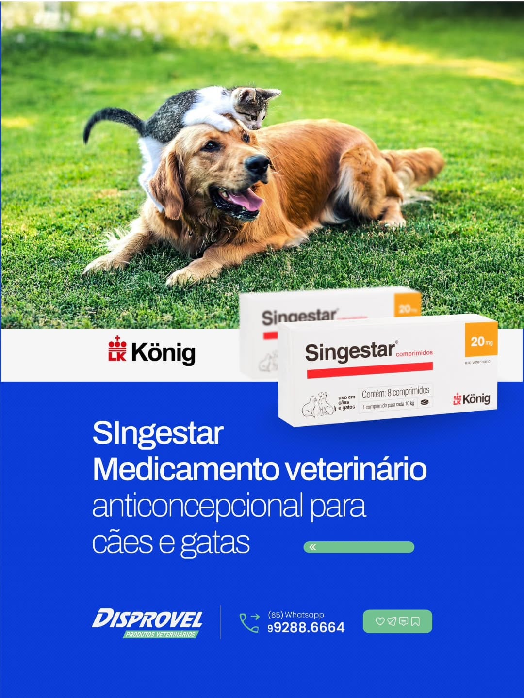 Post 6 by 【﻿ＤＩＳＰＲＯＶＥＬ　ＰＥＴ®】 on Instagram (image)