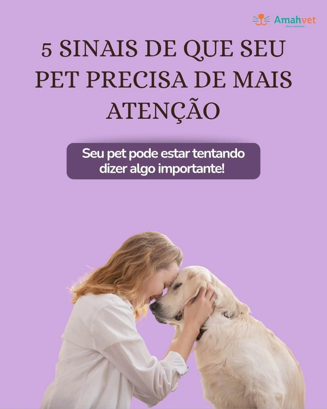 Post 5 by AmahVet Clínica Veterinária on Instagram (image)