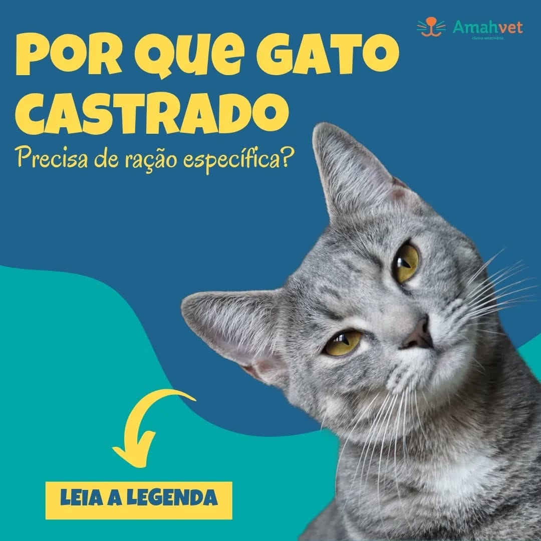 Post 7 by AmahVet Clínica Veterinária on Instagram (image)