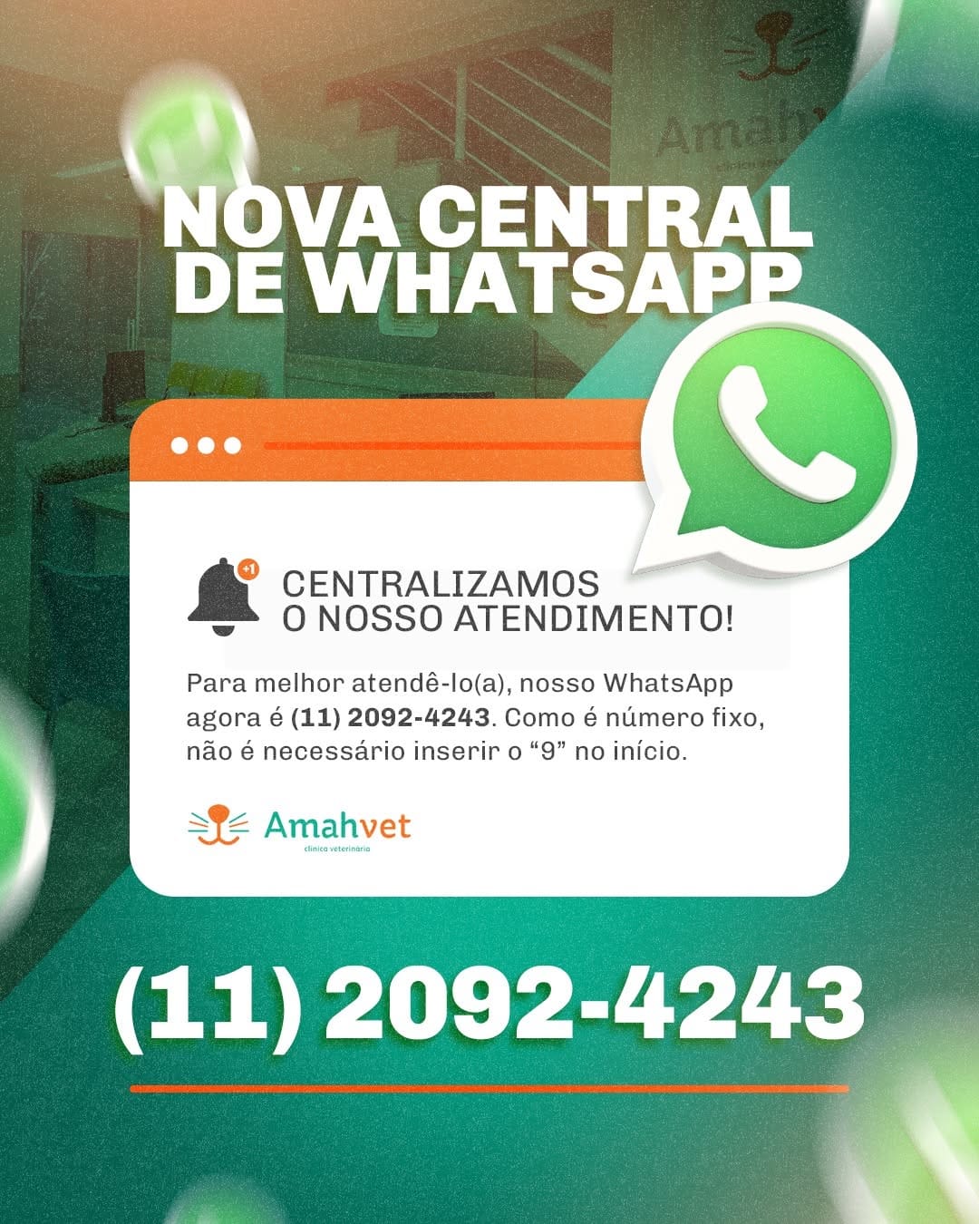 Post 9 by AmahVet Clínica Veterinária on Instagram (image)