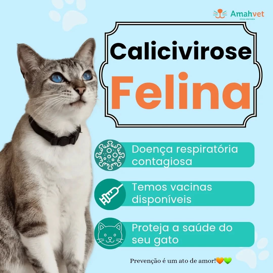 Post 1 by AmahVet Clínica Veterinária on Instagram (image)