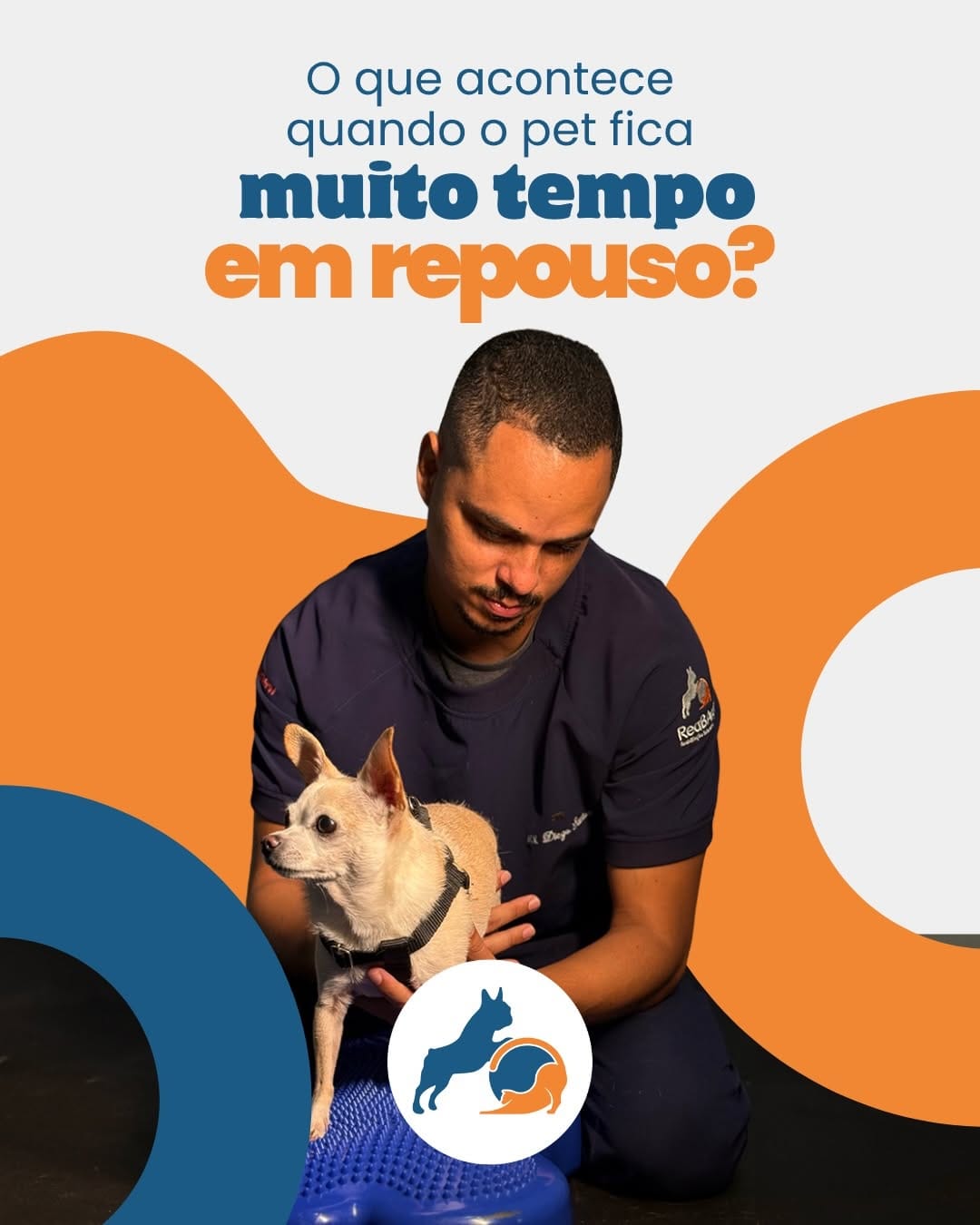 Post 7 by REABILITAÇÃO E CONDICIONAMENTO ANIMAL on Instagram (carousel)