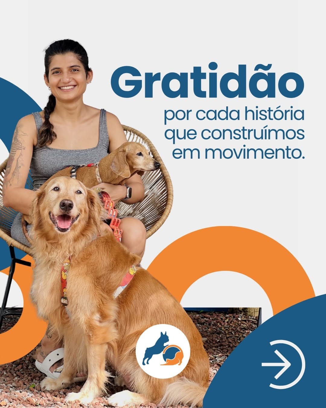 Post 8 by REABILITAÇÃO E CONDICIONAMENTO ANIMAL on Instagram (carousel)