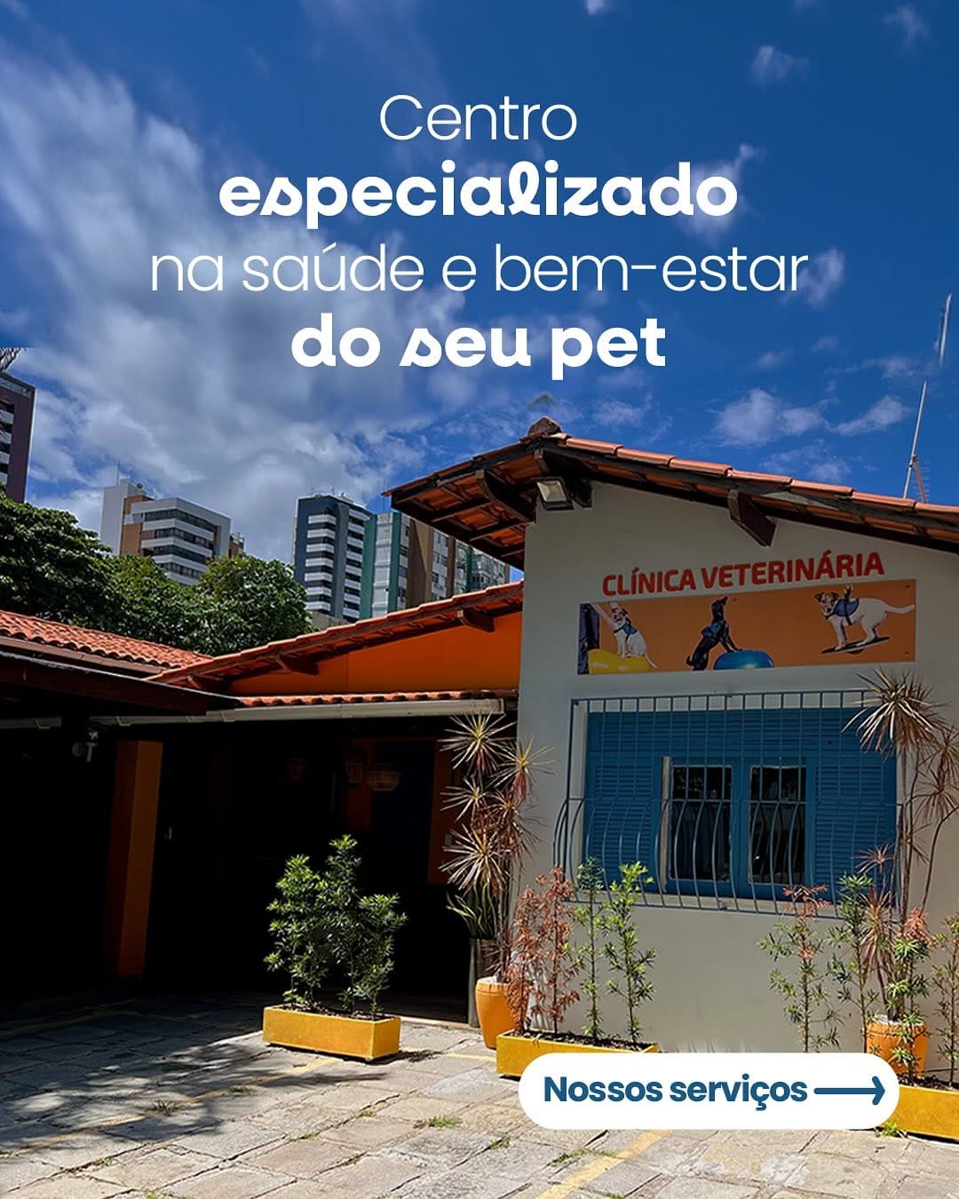 Post 10 by REABILITAÇÃO E CONDICIONAMENTO ANIMAL on Instagram (carousel)