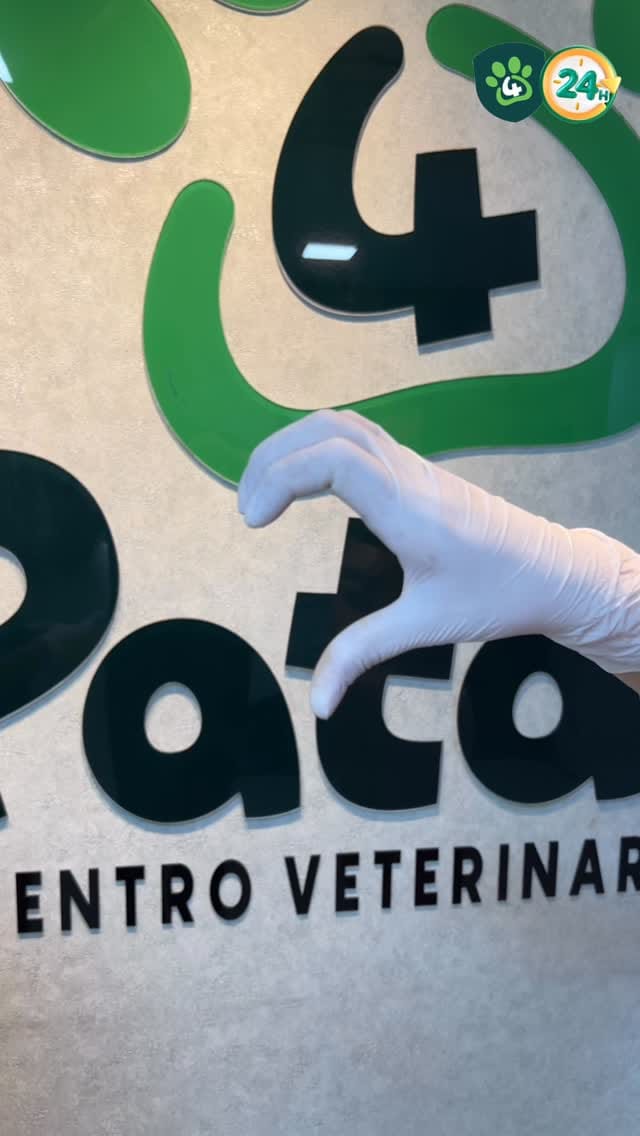 Post 4 by Centro Veterinário 4 Patas on Instagram (video)