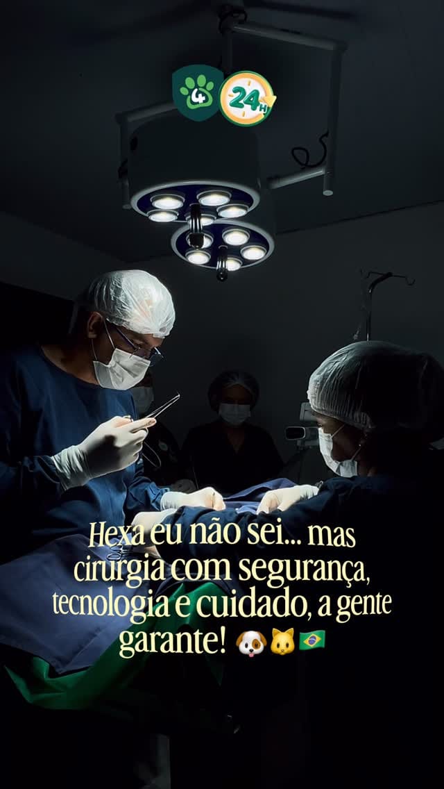 Post 2 by Centro Veterinário 4 Patas on Instagram (video)