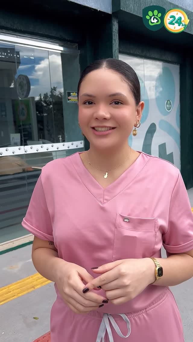 Post 6 by Centro Veterinário 4 Patas on Instagram (video)