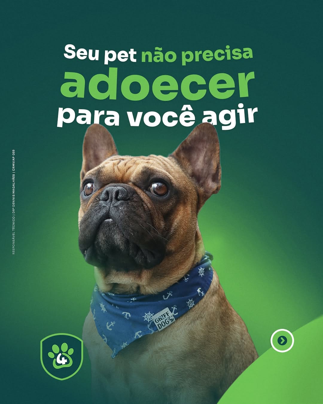 Post 5 by Centro Veterinário 4 Patas on Instagram (carousel)