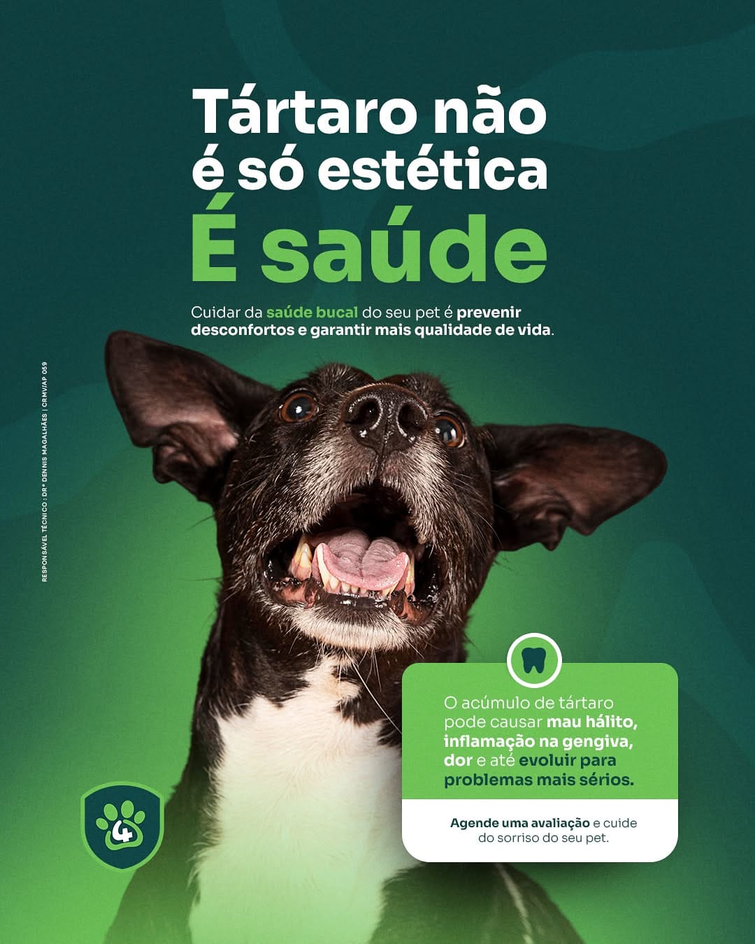 Post 1 by Centro Veterinário 4 Patas on Instagram (image)