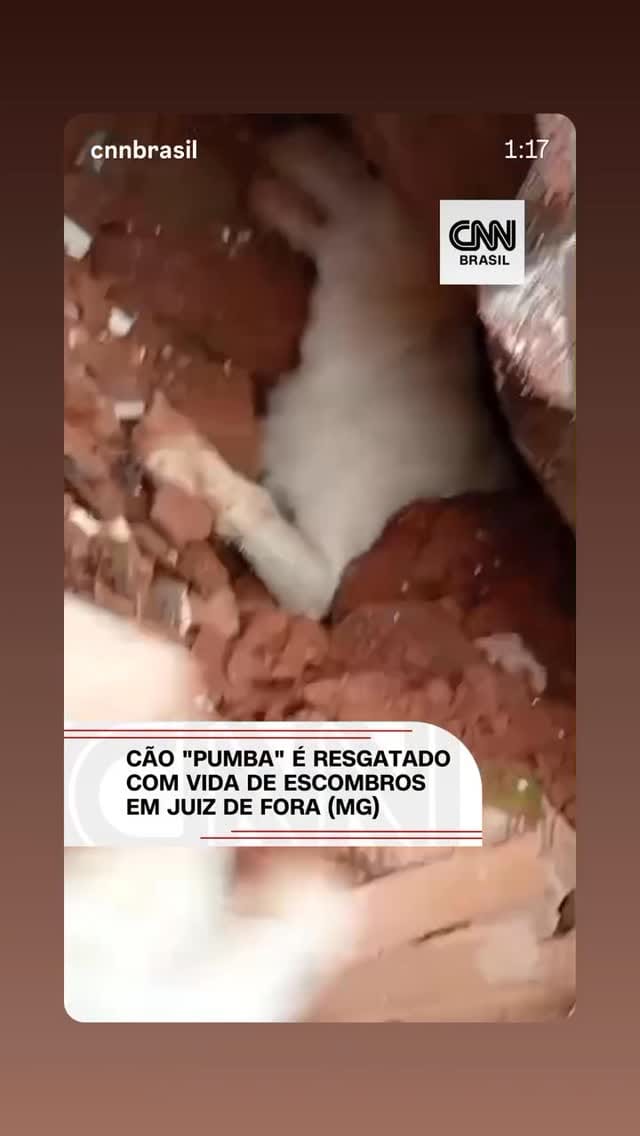 Post 10 by Fabio Pets Silva on Instagram (video)