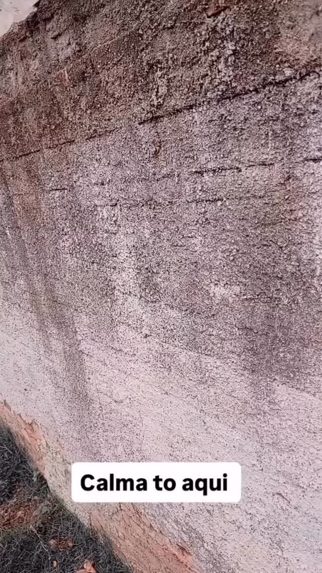 Post 5 by Fabio Pets Silva on Instagram (video)