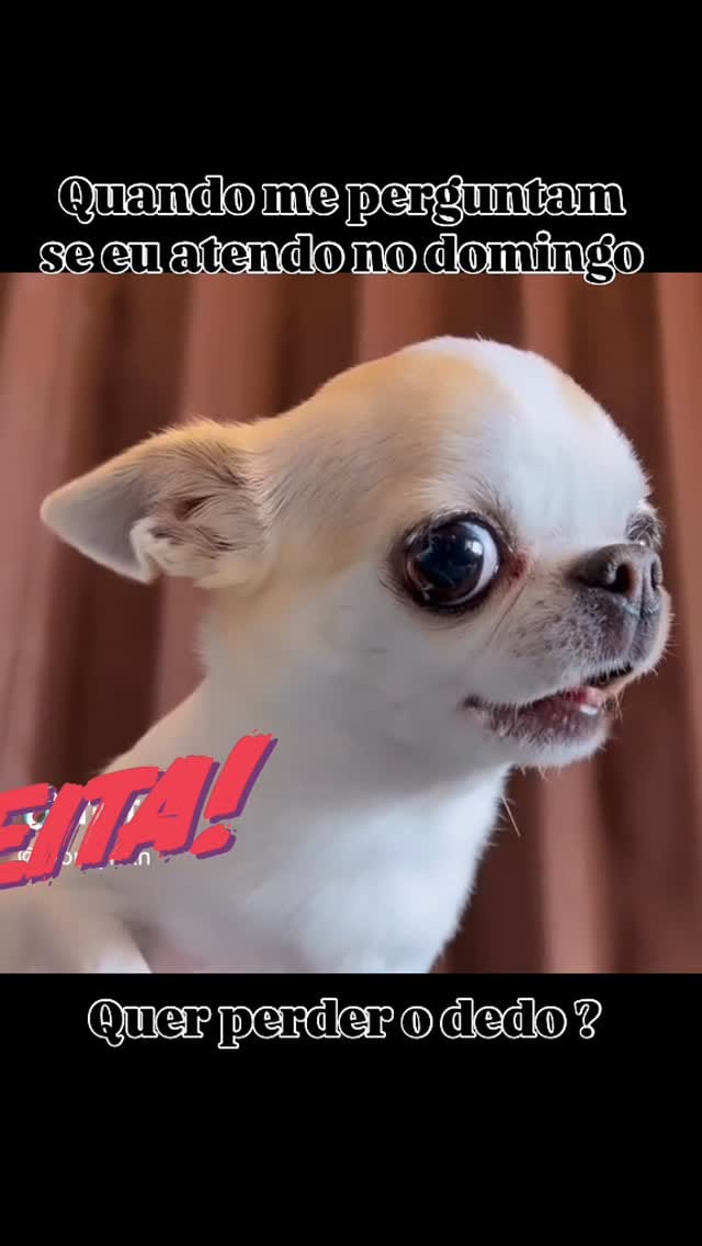 Post 5 by Vet Kennedy Gomes on Instagram (video)