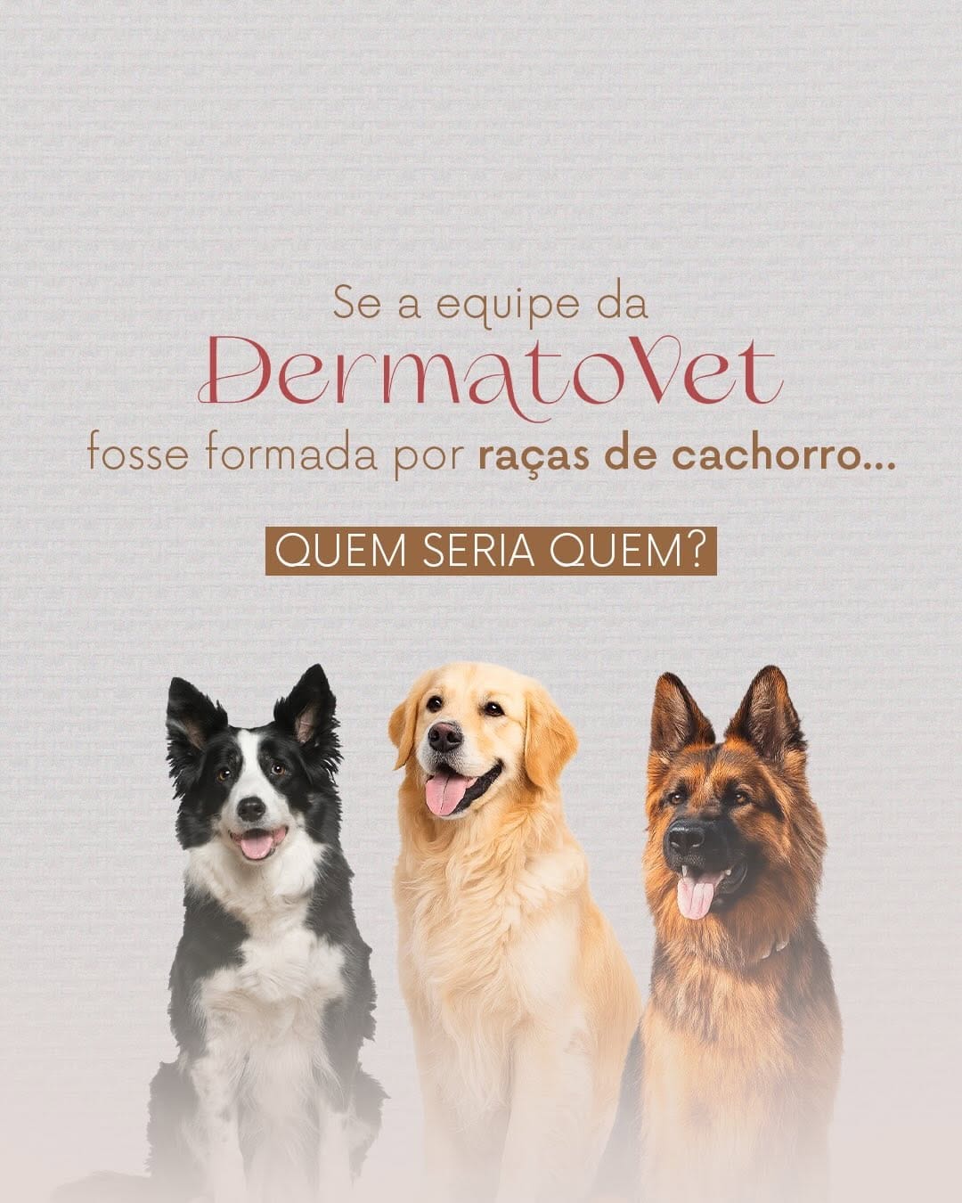 Post 5 by Dermatovet Curitiba on Instagram (carousel)