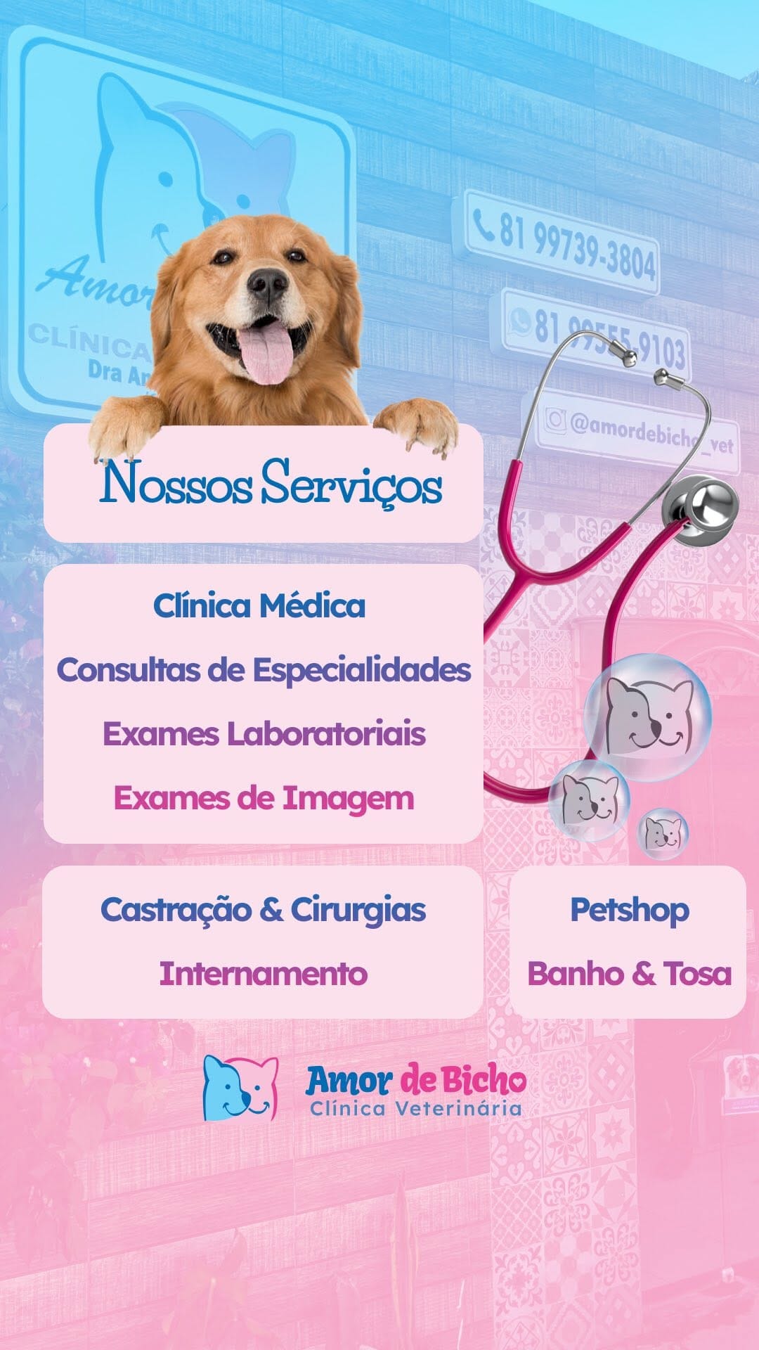 Post 10 by Clínica Veterinária Amor de Bicho on Instagram (video)
