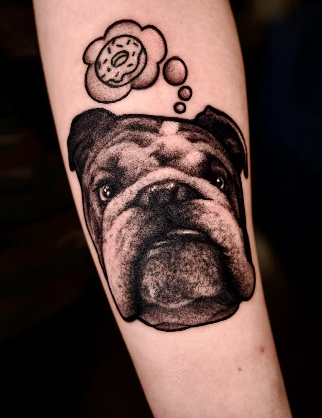 Post 2 by Finn & Friends 🐾 on Instagram (carousel)