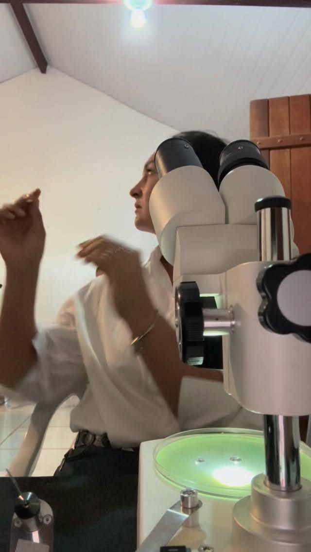 Post 5 by Núbia Simão | Médica Veterinária on Instagram (video)