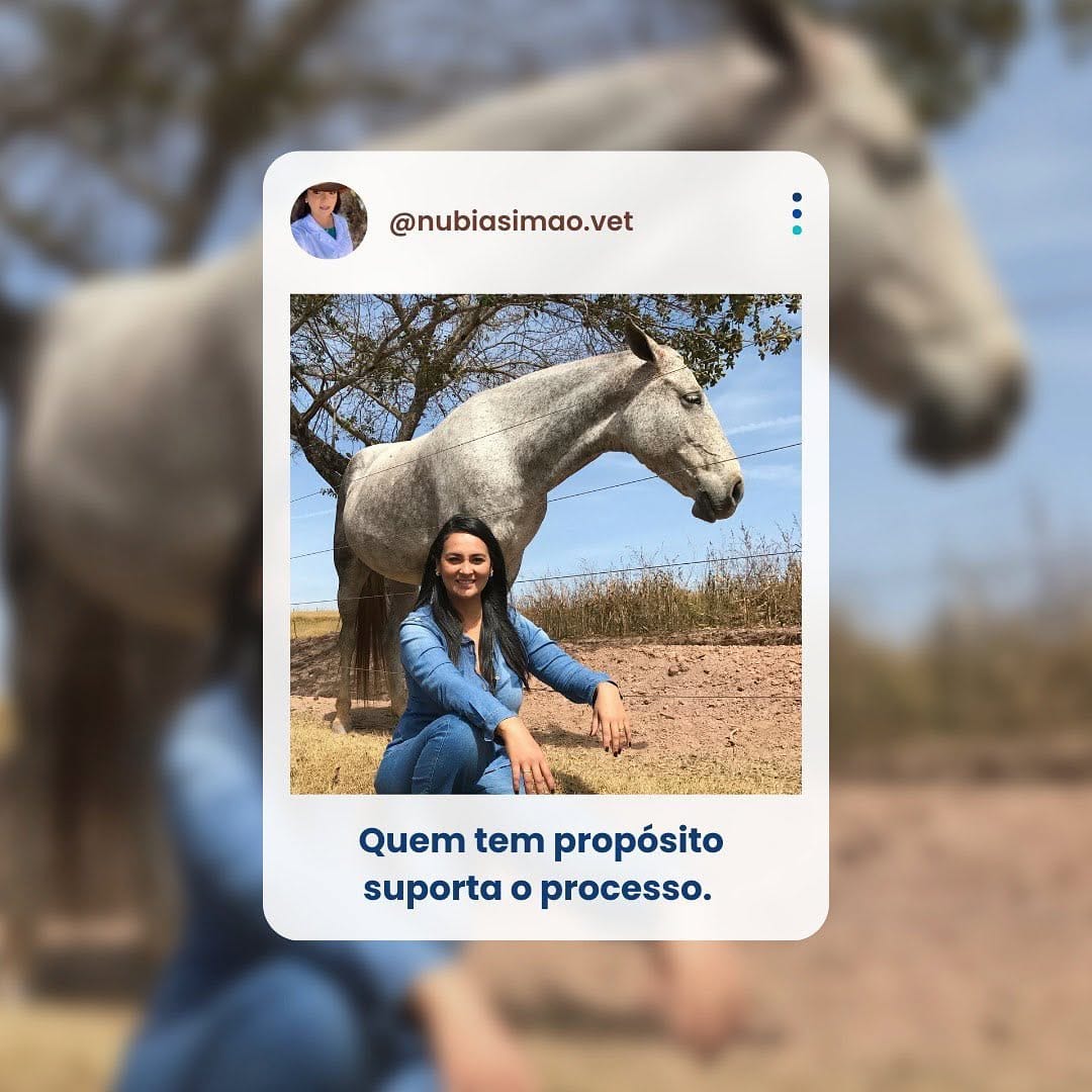 Post 8 by Núbia Simão | Médica Veterinária on Instagram (image)