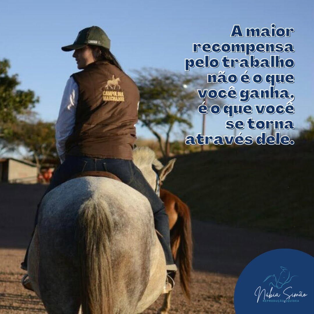Post 10 by Núbia Simão | Médica Veterinária on Instagram (image)