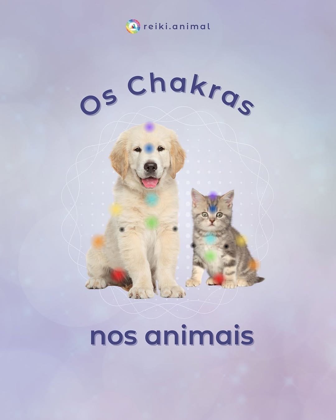 Post 8 by Priscila Waib | Médica Veterinária Integrativa on Instagram (image)