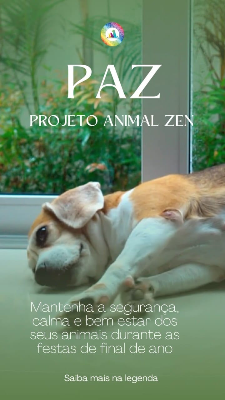 Post 7 by Priscila Waib | Médica Veterinária Integrativa on Instagram (video)