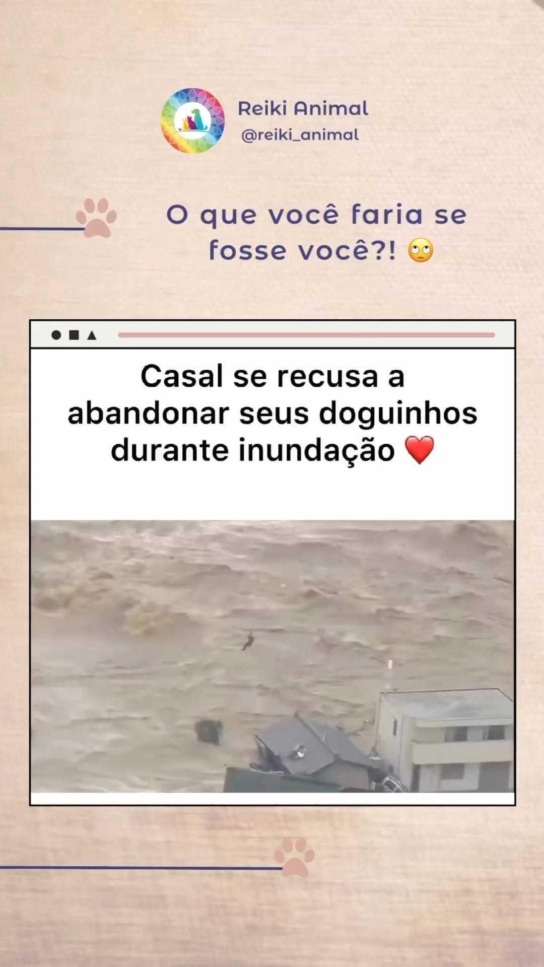 Post 4 by Priscila Waib | Médica Veterinária Integrativa on Instagram (video)
