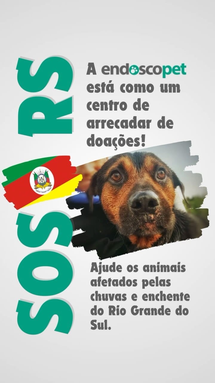 Post 5 by Priscila Waib | Médica Veterinária Integrativa on Instagram (video)