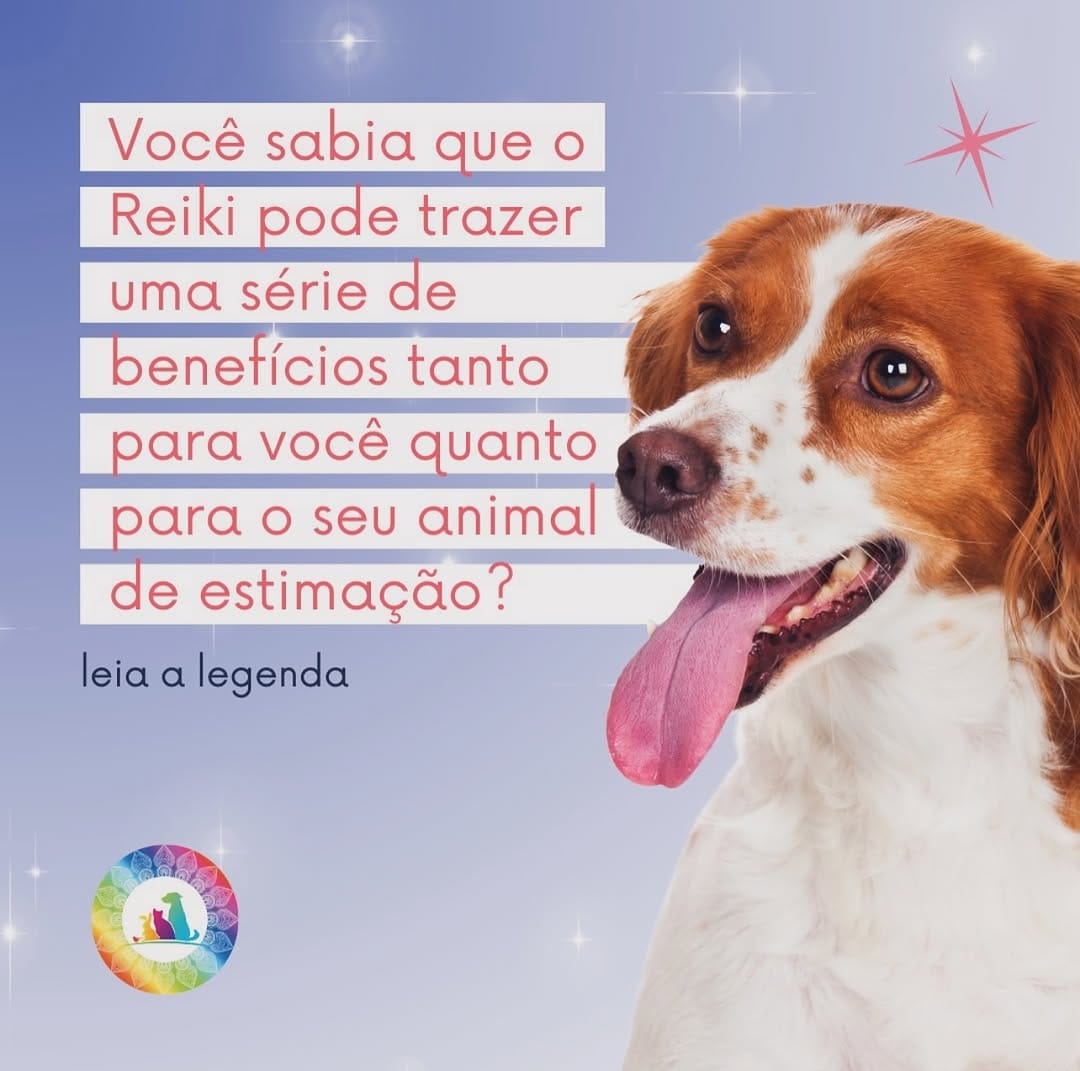 Post 2 by Priscila Waib | Médica Veterinária Integrativa on Instagram (image)