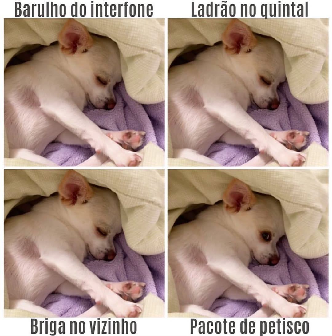 Post 9 by Nina Regina on Instagram (image)