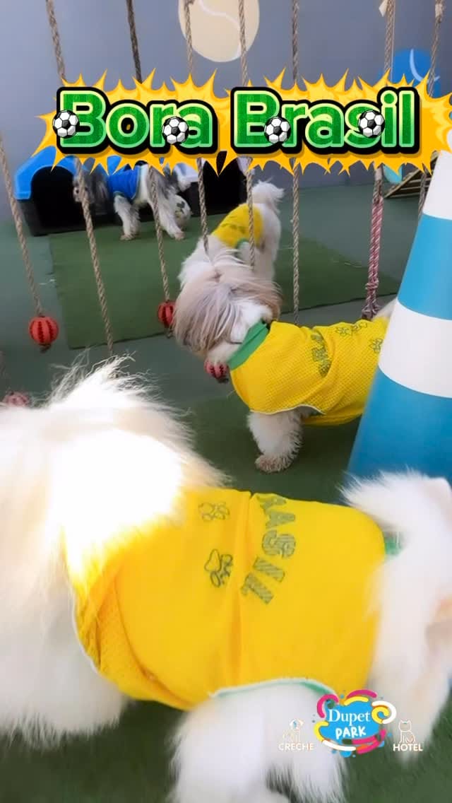 Post 1 by 𝐃upet 𝐏𝐚𝐫𝐤 𝐂𝐫𝐞𝐜𝐡𝐞 & Hotel 𝐏𝐞𝐭 𝐁𝐫𝐚𝐬𝐢́𝐥𝐢𝐚 on Instagram (video)