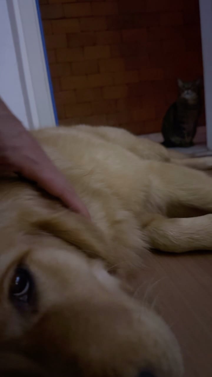 Post 2 by Wil Vlogsx on Instagram (video)