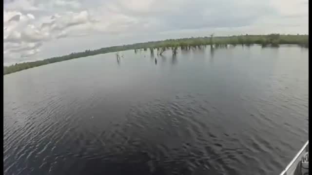Post 5 by Ian-Arthur de Sulocki on Instagram (video)