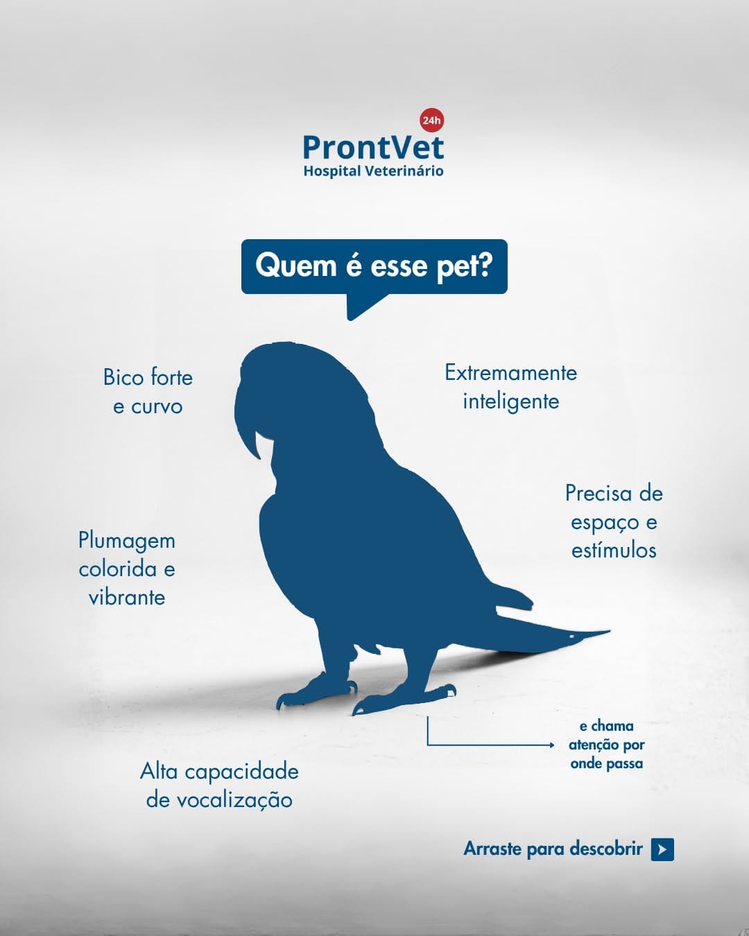 Post 7 by Hospital Veterinário ProntVet 24h on Instagram (carousel)
