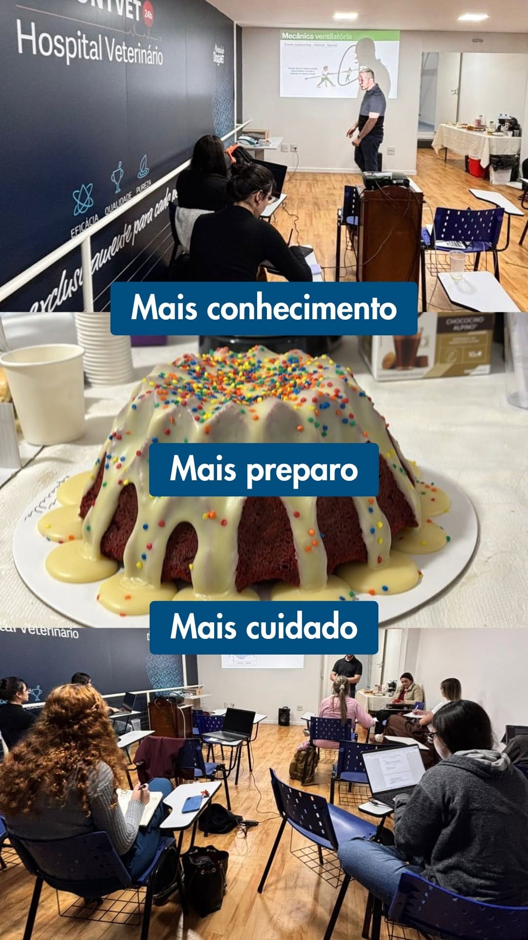 Post 2 by Hospital Veterinário ProntVet 24h on Instagram (video)