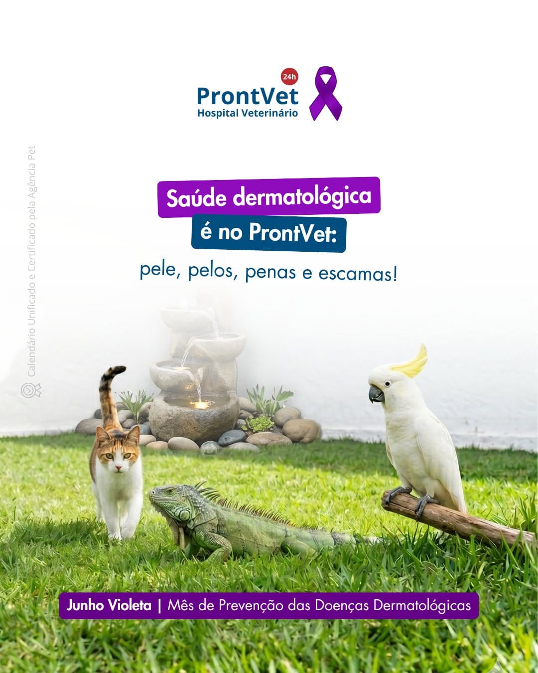Post 4 by Hospital Veterinário ProntVet 24h on Instagram (image)